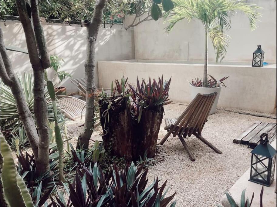 Hotel Boutique Kaa Mérida Extérieur photo