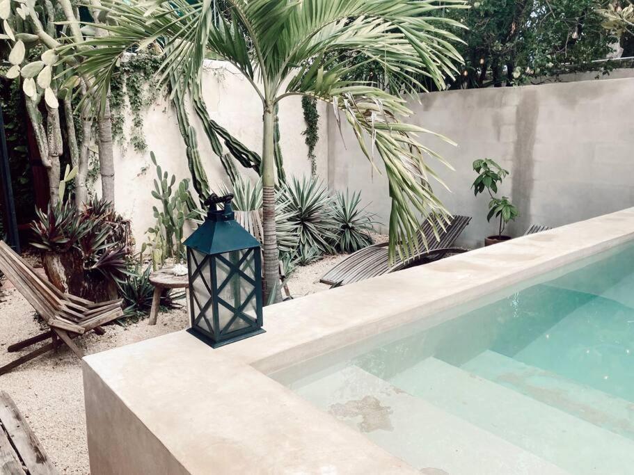 Hotel Boutique Kaa Mérida Extérieur photo