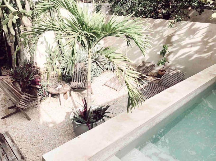 Hotel Boutique Kaa Mérida Extérieur photo